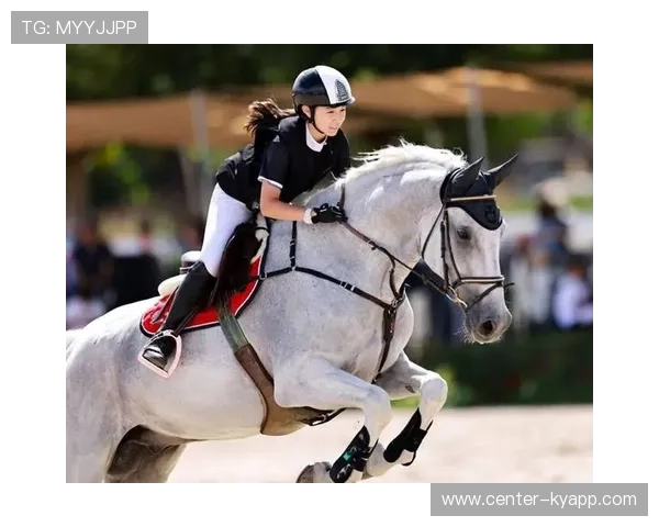 克罗地亚马术协会与国际组织合作，推广“Sinjska Alka”至全球。