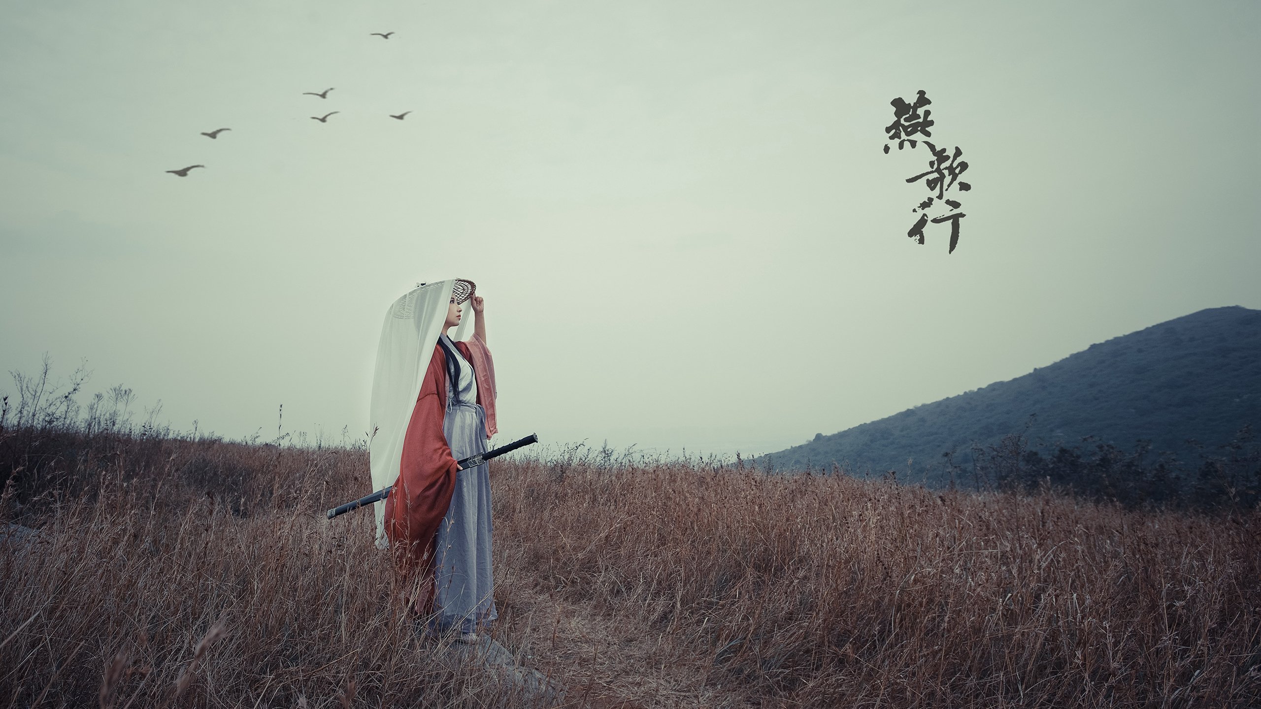 埃及赛制解析:如何通过合理分组提高比赛公平性,埃及乙组联赛比赛结果